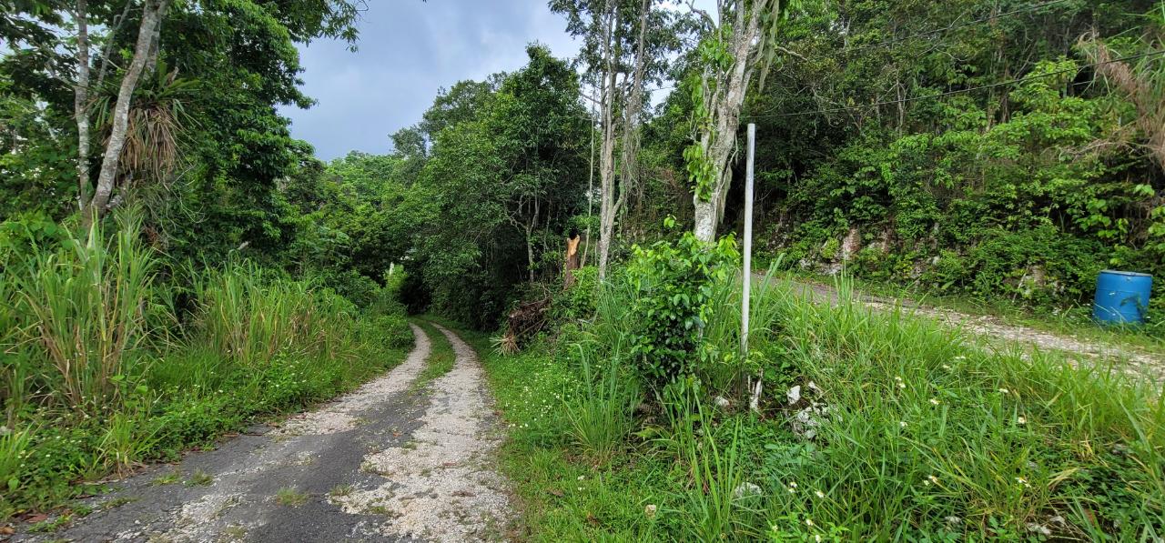 Residential-Lot-for-Sale-at-85-Coopers-Hill-St.-Andrew-Jamaica Eighth image of 85 Coopers Hill in Red Hills, St. Andrew, Jamaica - property is For Sale