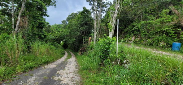 Eighth image of 85 Coopers Hill in Red Hills, St. Andrew, Jamaica - property is For Sale