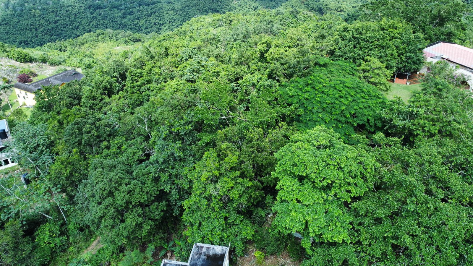 Residential-Lot-for-Sale-at-85-Coopers-Hill-St.-Andrew-Jamaica Ninth image of 85 Coopers Hill in Red Hills, St. Andrew, Jamaica - property is For Sale