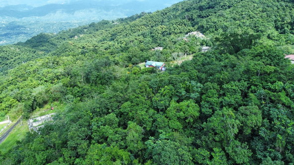 Tenth image of 85 Coopers Hill in Red Hills, St. Andrew, Jamaica - property is For Sale
