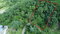 First image of 85 Coopers Hill in Red Hills, St. Andrew, Jamaica - property is For Sale
