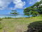 First image of Lot-7 Burlington Estate in Burlington, Portland, Jamaica - property is For Sale