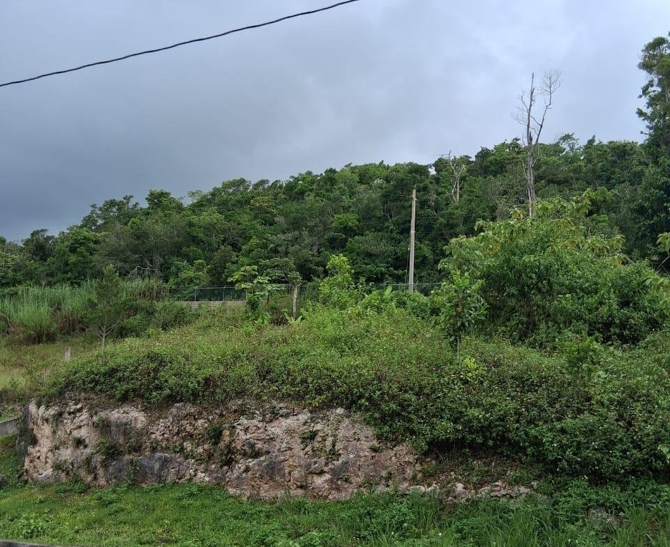 Second image of Lot 25 Moorlands Manor in Mandeville, Manchester, Jamaica - property is For Sale