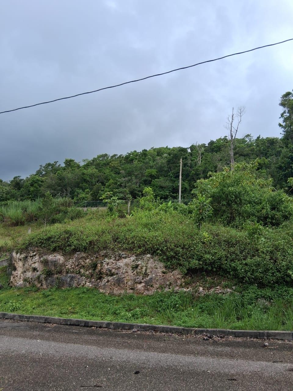 Second image of Lot 25 Moorlands Manor in Mandeville, Manchester, Jamaica - property is For Sale