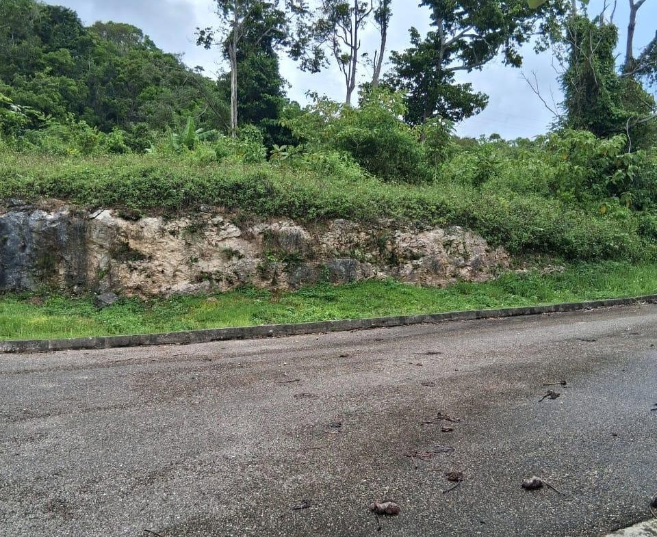 Eleventh image of Lot 25 Moorlands Manor in Mandeville, Manchester, Jamaica - property is For Sale