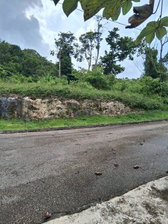 Eleventh image of Lot 25 Moorlands Manor in Mandeville, Manchester, Jamaica - property is For Sale