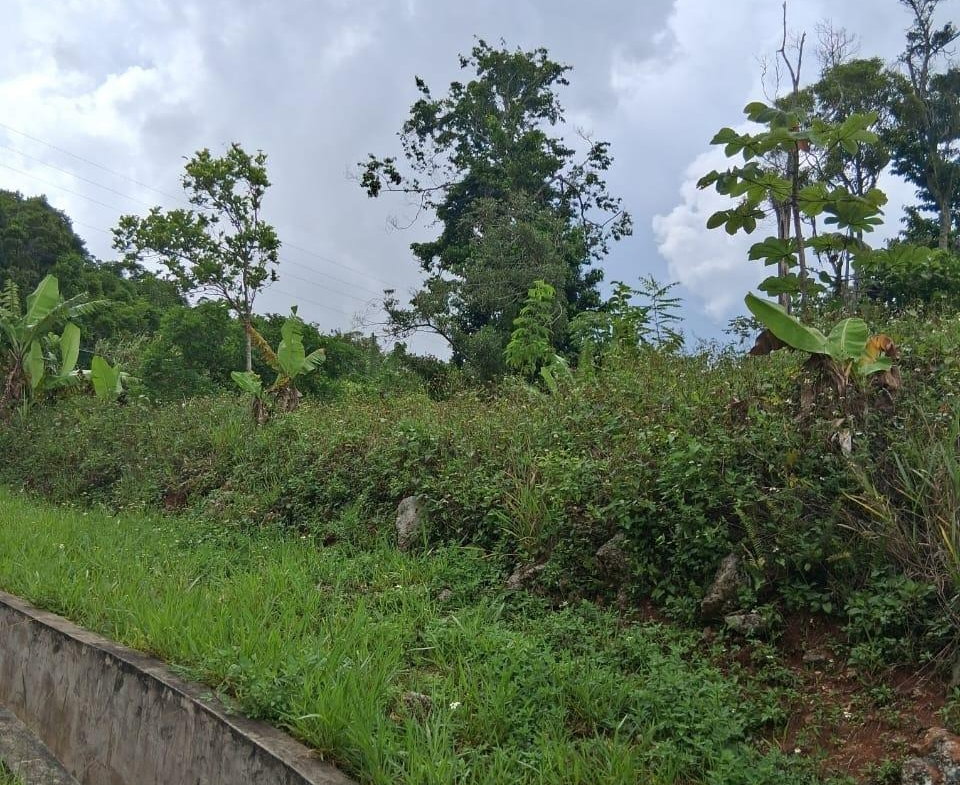 Twelfth image of Lot 25 Moorlands Manor in Mandeville, Manchester, Jamaica - property is For Sale