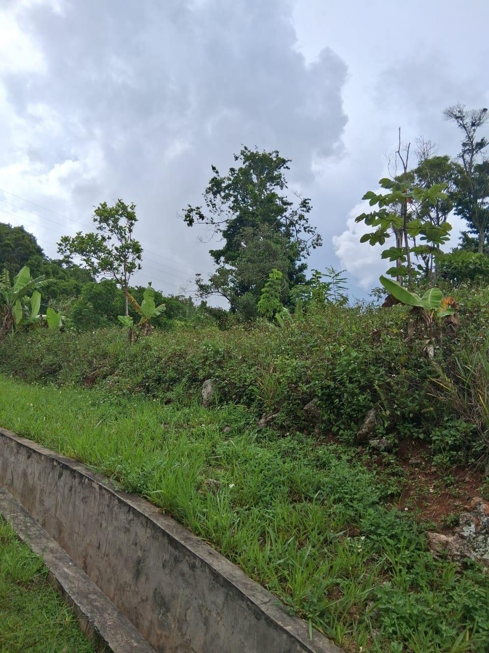 Twelfth image of Lot 25 Moorlands Manor in Mandeville, Manchester, Jamaica - property is For Sale