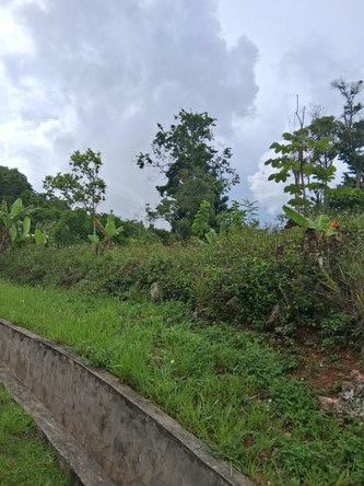 Twelfth image of Lot 25 Moorlands Manor in Mandeville, Manchester, Jamaica - property is For Sale