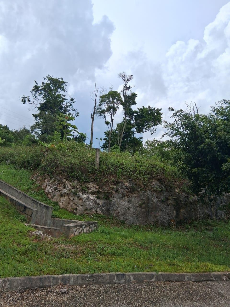 Fourteenth image of Lot 25 Moorlands Manor in Mandeville, Manchester, Jamaica - property is For Sale