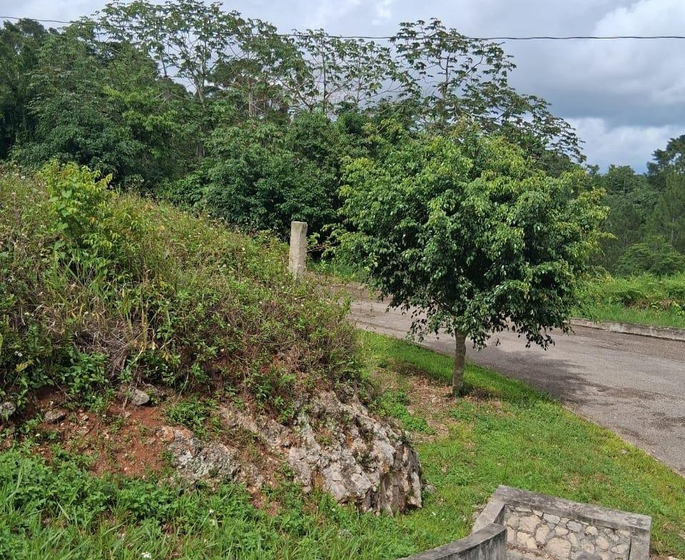 Fifteenth image of Lot 25 Moorlands Manor in Mandeville, Manchester, Jamaica - property is For Sale