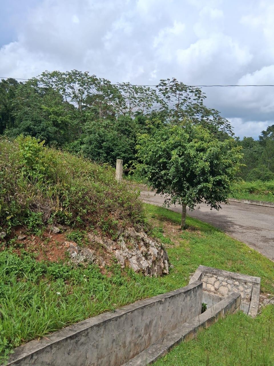 Fifteenth image of Lot 25 Moorlands Manor in Mandeville, Manchester, Jamaica - property is For Sale