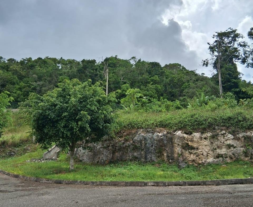 Sixteenth image of Lot 25 Moorlands Manor in Mandeville, Manchester, Jamaica - property is For Sale