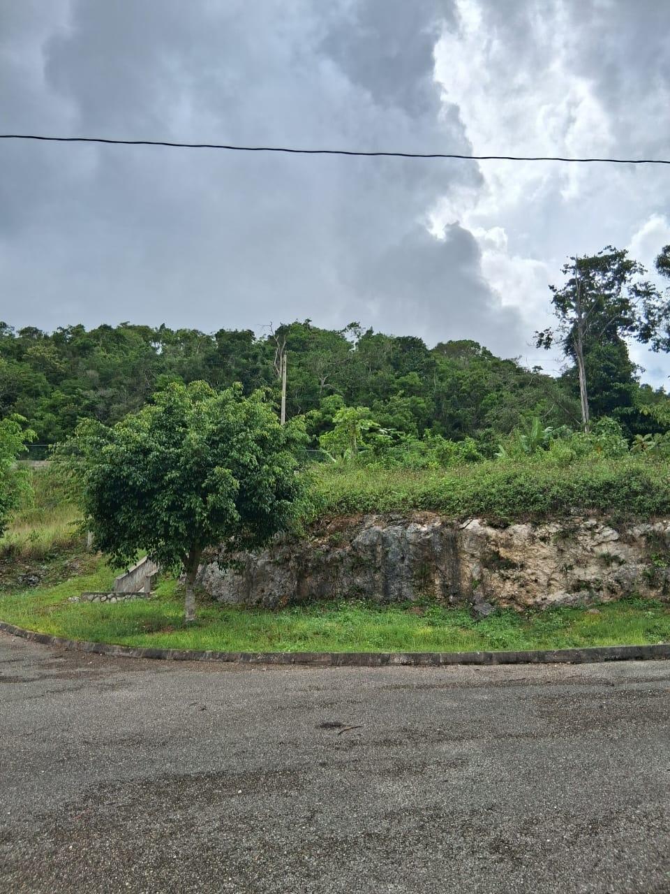 Sixteenth image of Lot 25 Moorlands Manor in Mandeville, Manchester, Jamaica - property is For Sale