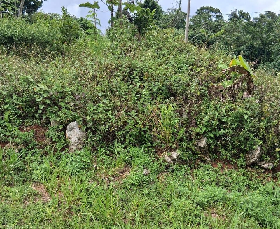 Seventeenth image of Lot 25 Moorlands Manor in Mandeville, Manchester, Jamaica - property is For Sale
