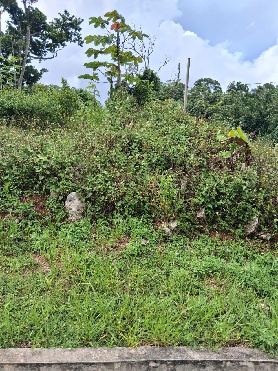 Seventeenth image of Lot 25 Moorlands Manor in Mandeville, Manchester, Jamaica - property is For Sale