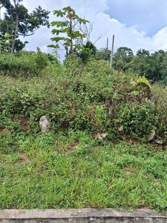 Seventeenth image of Lot 25 Moorlands Manor in Mandeville, Manchester, Jamaica - property is For Sale