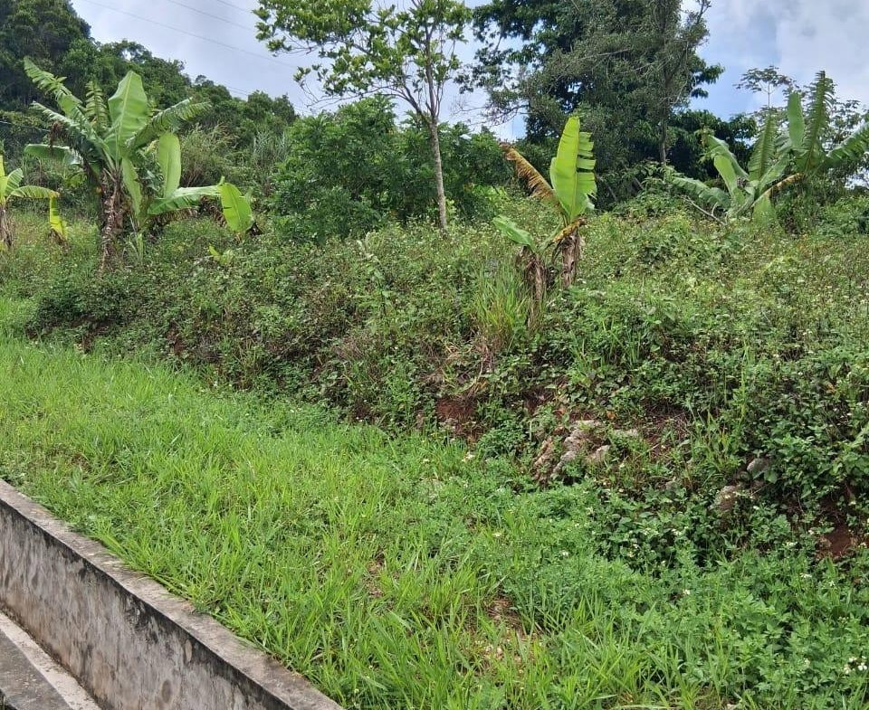 Eighteenth image of Lot 25 Moorlands Manor in Mandeville, Manchester, Jamaica - property is For Sale
