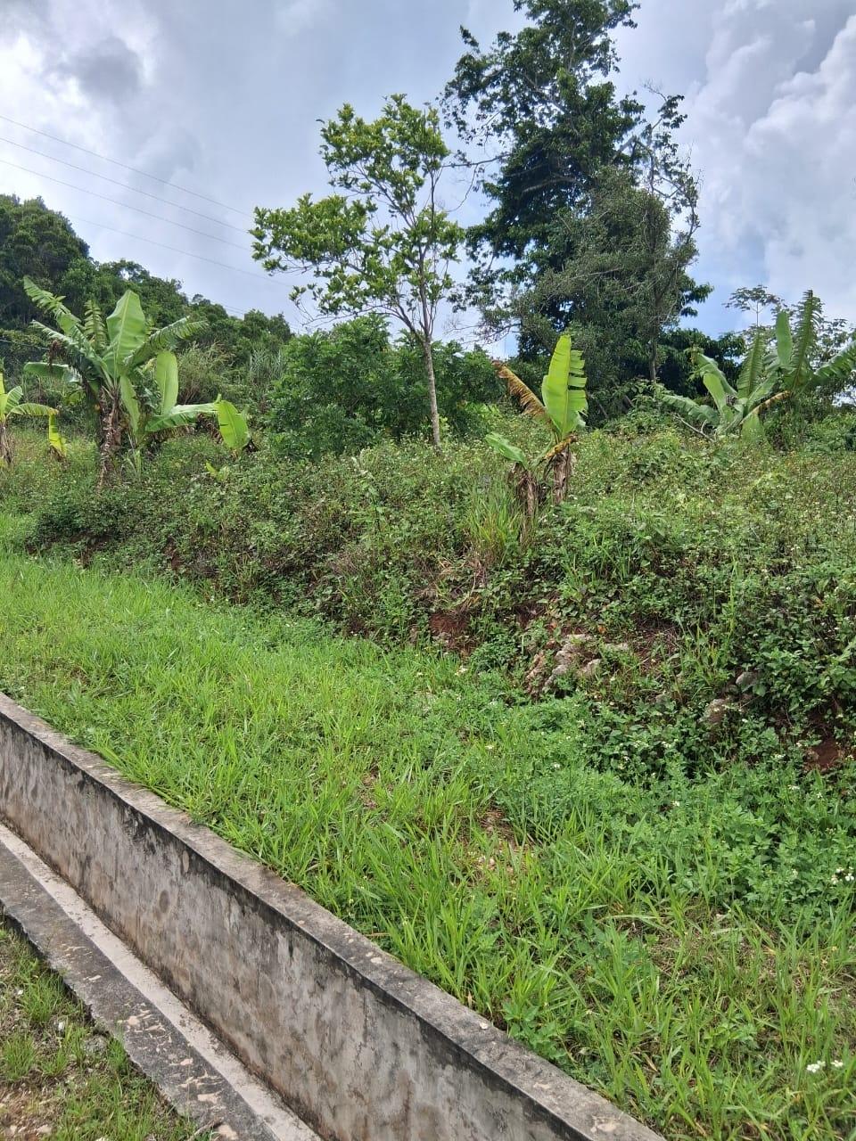 Eighteenth image of Lot 25 Moorlands Manor in Mandeville, Manchester, Jamaica - property is For Sale