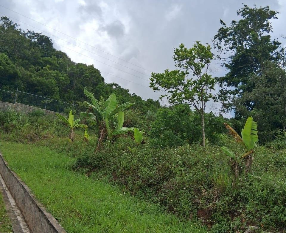 Nineteenth image of Lot 25 Moorlands Manor in Mandeville, Manchester, Jamaica - property is For Sale
