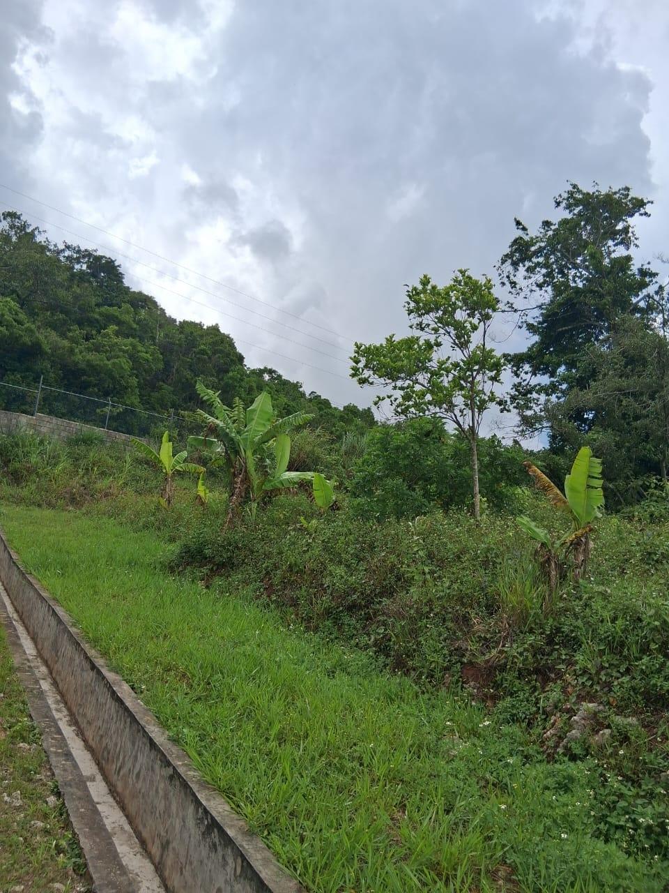 Nineteenth image of Lot 25 Moorlands Manor in Mandeville, Manchester, Jamaica - property is For Sale