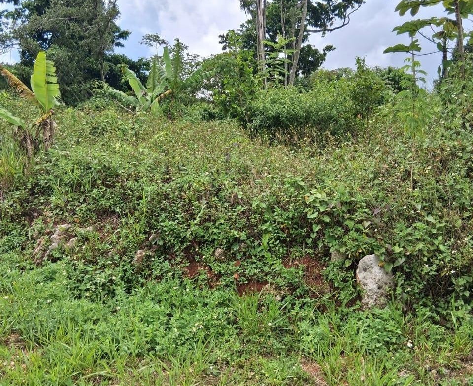 Twentieth image of Lot 25 Moorlands Manor in Mandeville, Manchester, Jamaica - property is For Sale