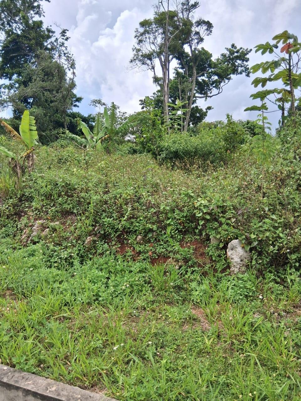 Twentieth image of Lot 25 Moorlands Manor in Mandeville, Manchester, Jamaica - property is For Sale
