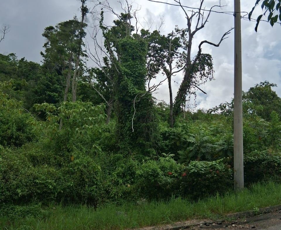 Third image of Lot 25 Moorlands Manor in Mandeville, Manchester, Jamaica - property is For Sale