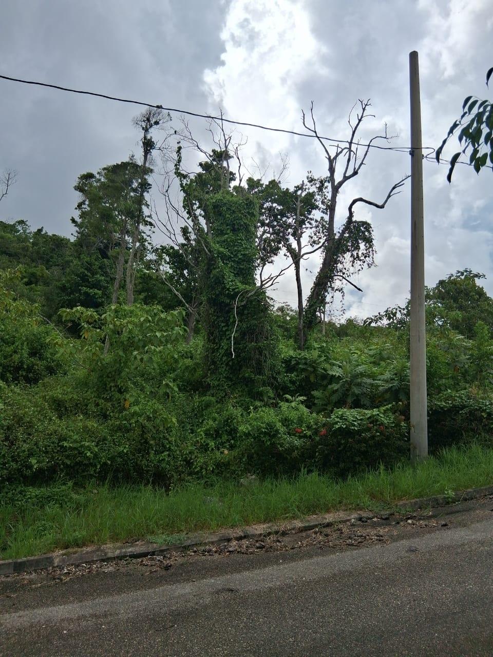 Third image of Lot 25 Moorlands Manor in Mandeville, Manchester, Jamaica - property is For Sale