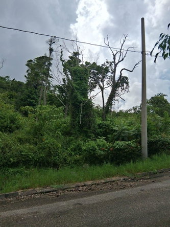 Third image of Lot 25 Moorlands Manor in Mandeville, Manchester, Jamaica - property is For Sale
