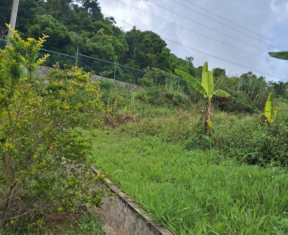 Twenty-First image of Lot 25 Moorlands Manor in Mandeville, Manchester, Jamaica - property is For Sale
