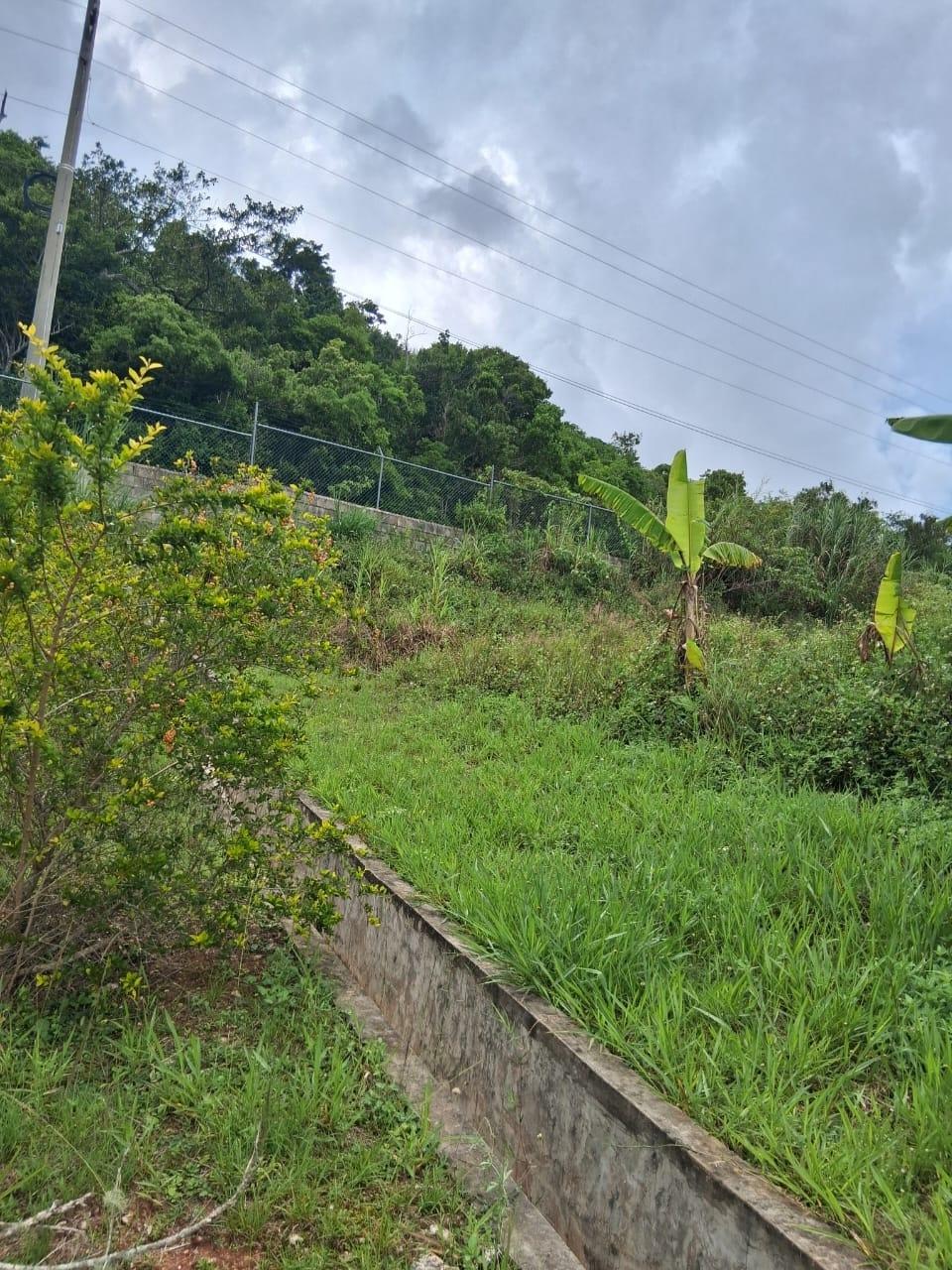 Twenty-First image of Lot 25 Moorlands Manor in Mandeville, Manchester, Jamaica - property is For Sale