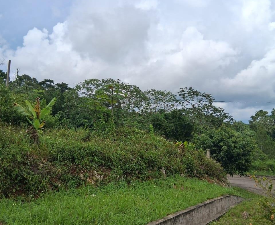 Twenty-Second image of Lot 25 Moorlands Manor in Mandeville, Manchester, Jamaica - property is For Sale