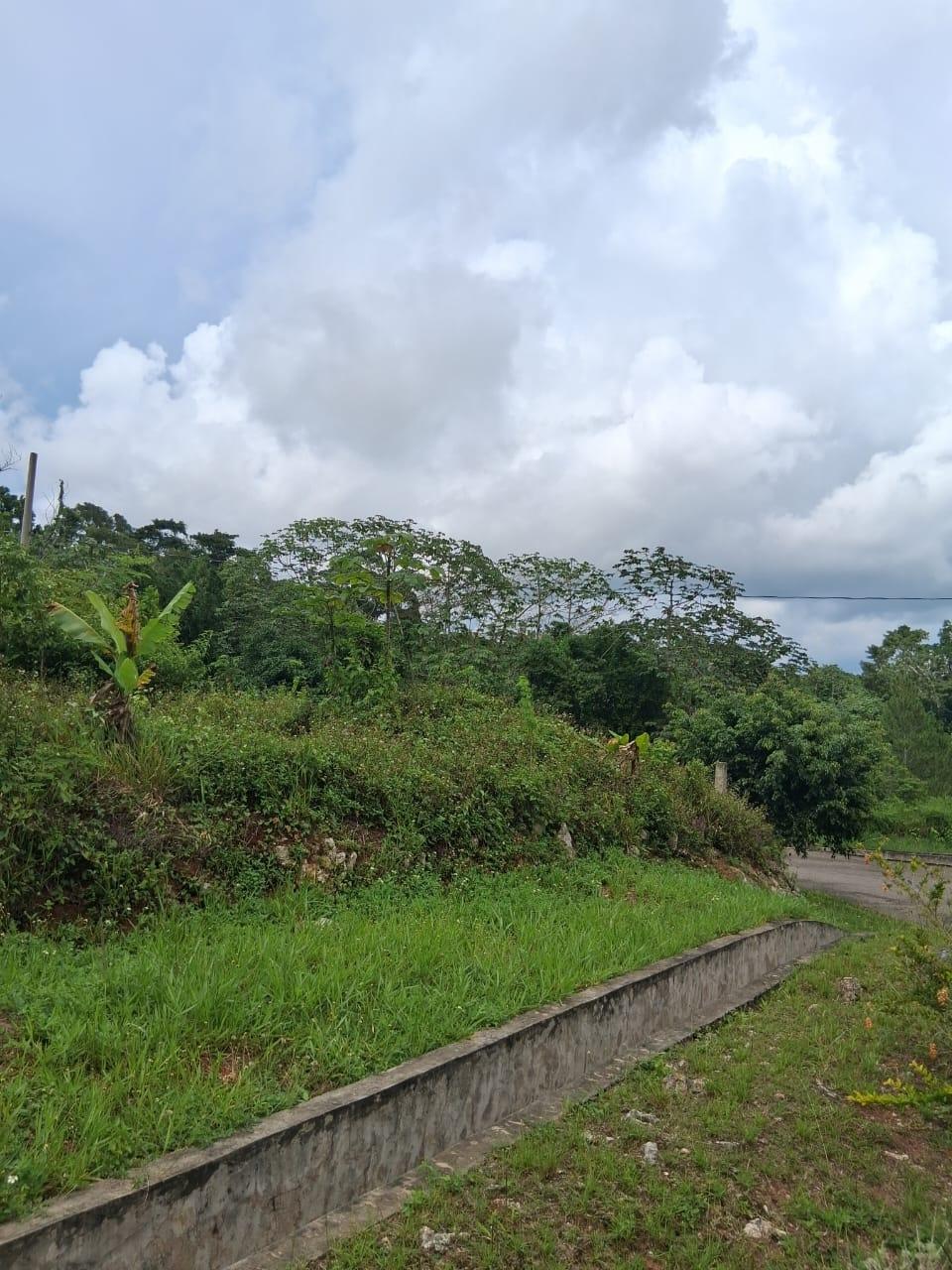 Twenty-Second image of Lot 25 Moorlands Manor in Mandeville, Manchester, Jamaica - property is For Sale