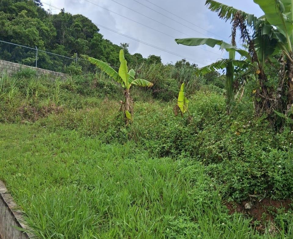 Twenty-Third image of Lot 25 Moorlands Manor in Mandeville, Manchester, Jamaica - property is For Sale