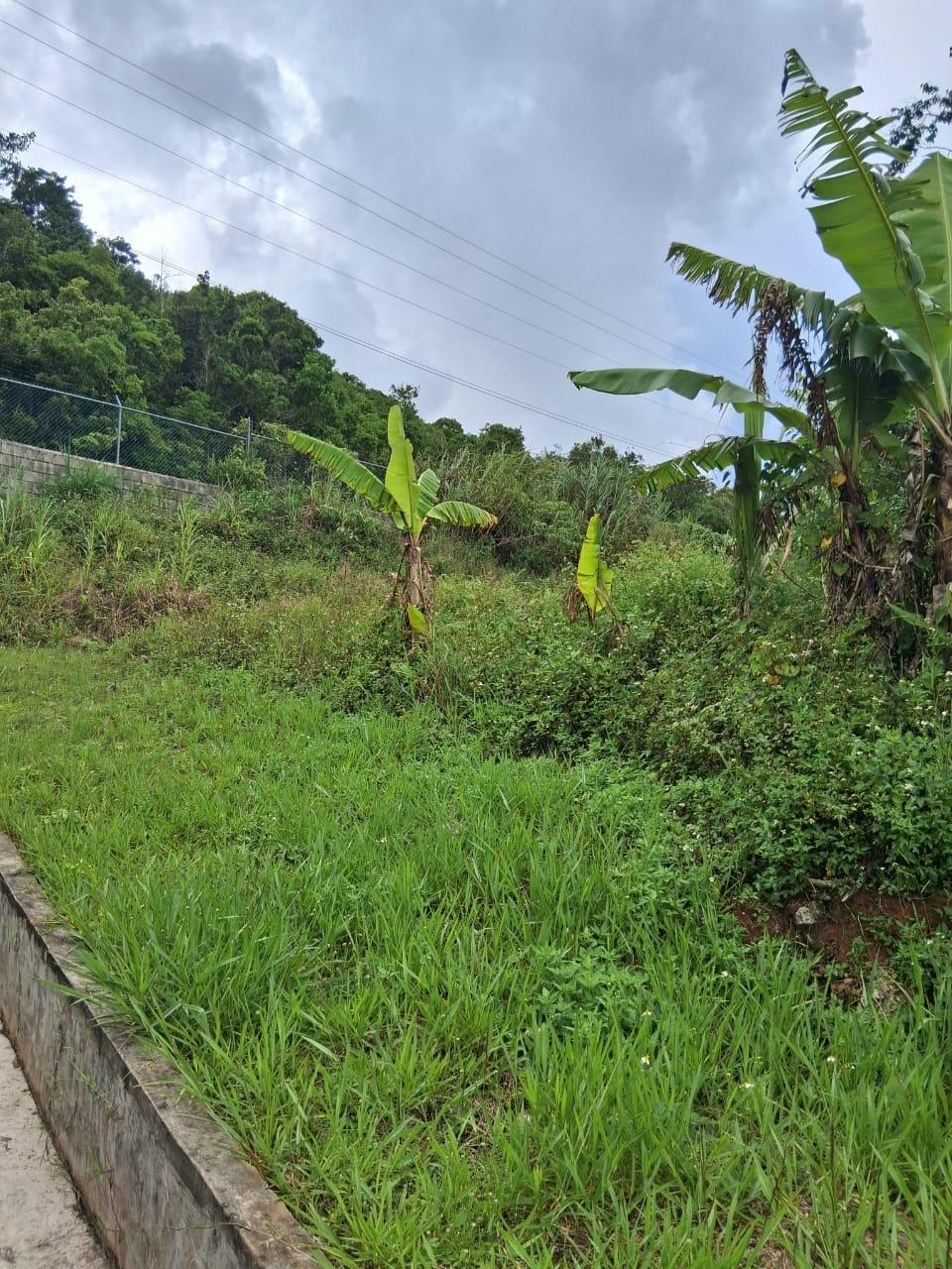 Twenty-Third image of Lot 25 Moorlands Manor in Mandeville, Manchester, Jamaica - property is For Sale