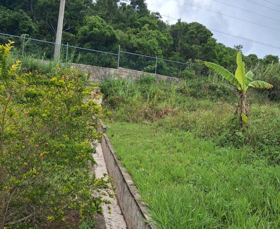 Twenty-Fourth image of Lot 25 Moorlands Manor in Mandeville, Manchester, Jamaica - property is For Sale