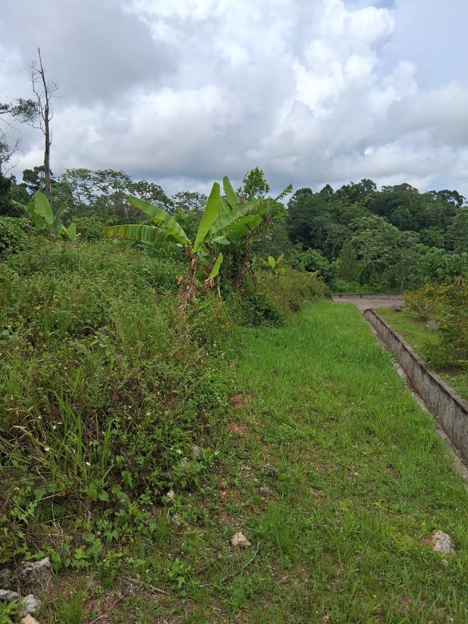 Twenty-Fifth image of Lot 25 Moorlands Manor in Mandeville, Manchester, Jamaica - property is For Sale