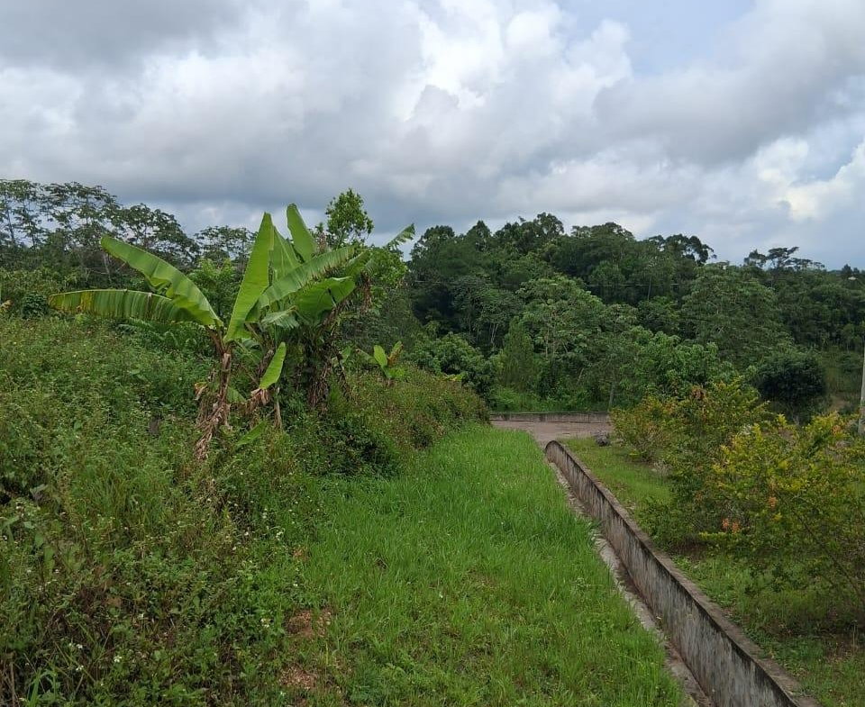 Twenty-Sixth image of Lot 25 Moorlands Manor in Mandeville, Manchester, Jamaica - property is For Sale