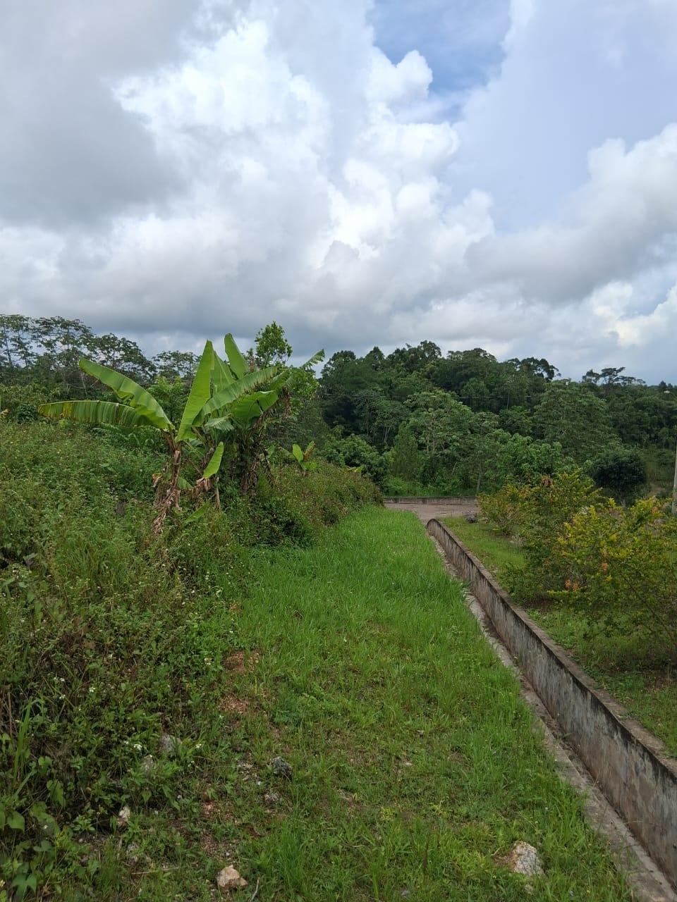 Twenty-Sixth image of Lot 25 Moorlands Manor in Mandeville, Manchester, Jamaica - property is For Sale
