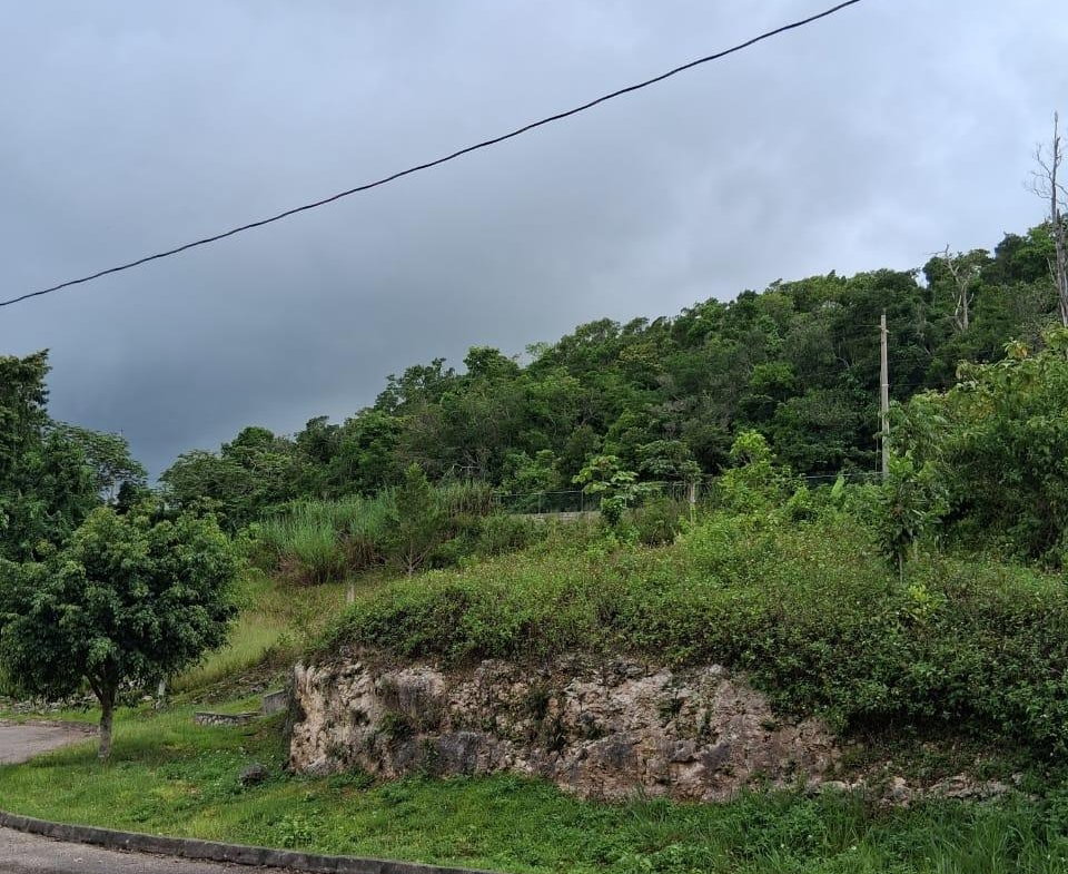 Fourth image of Lot 25 Moorlands Manor in Mandeville, Manchester, Jamaica - property is For Sale