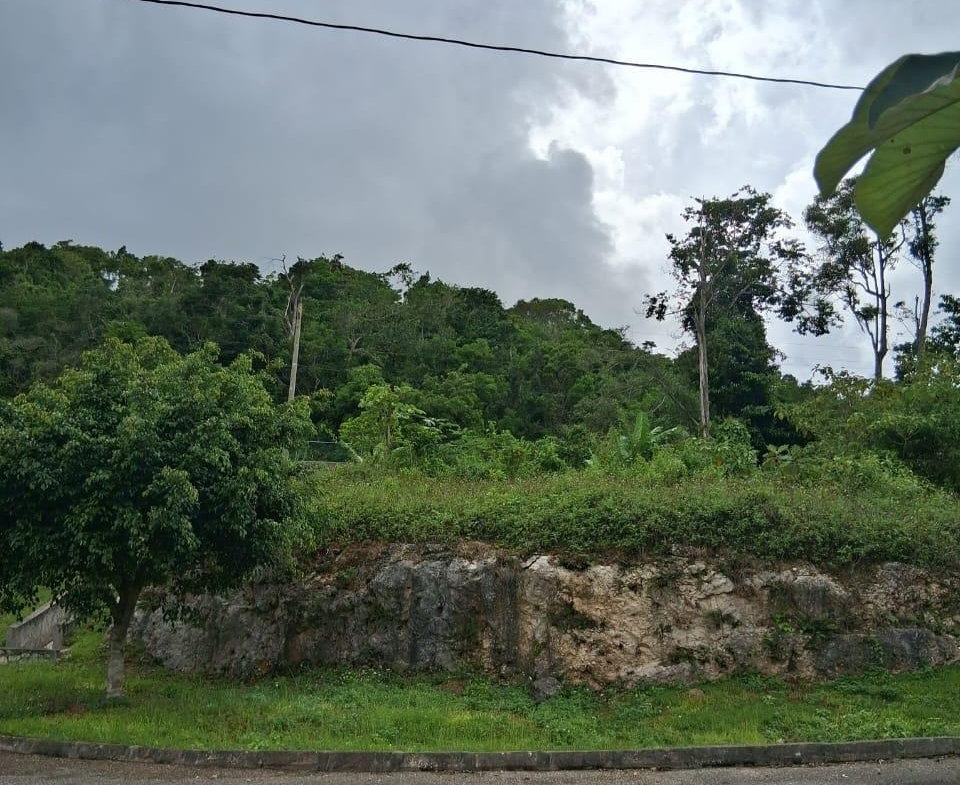 Fifth image of Lot 25 Moorlands Manor in Mandeville, Manchester, Jamaica - property is For Sale