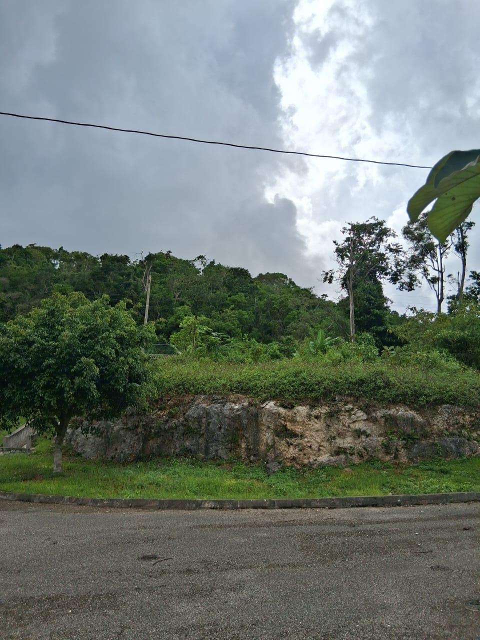 Fifth image of Lot 25 Moorlands Manor in Mandeville, Manchester, Jamaica - property is For Sale