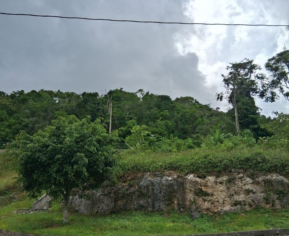 Sixth image of Lot 25 Moorlands Manor in Mandeville, Manchester, Jamaica - property is For Sale