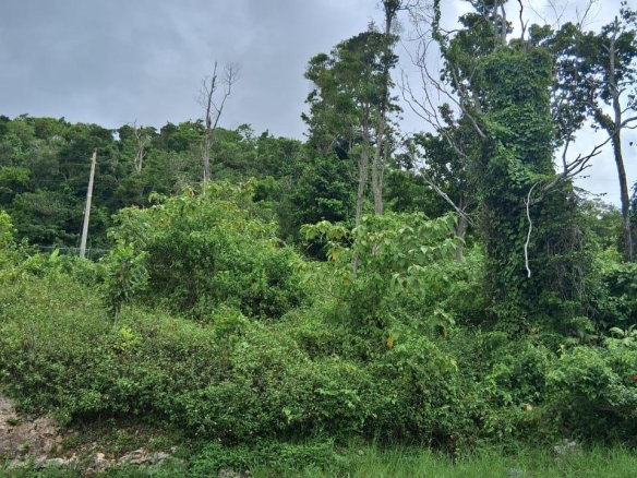First image of Lot 25 Moorlands Manor in Mandeville, Manchester, Jamaica - property is For Sale