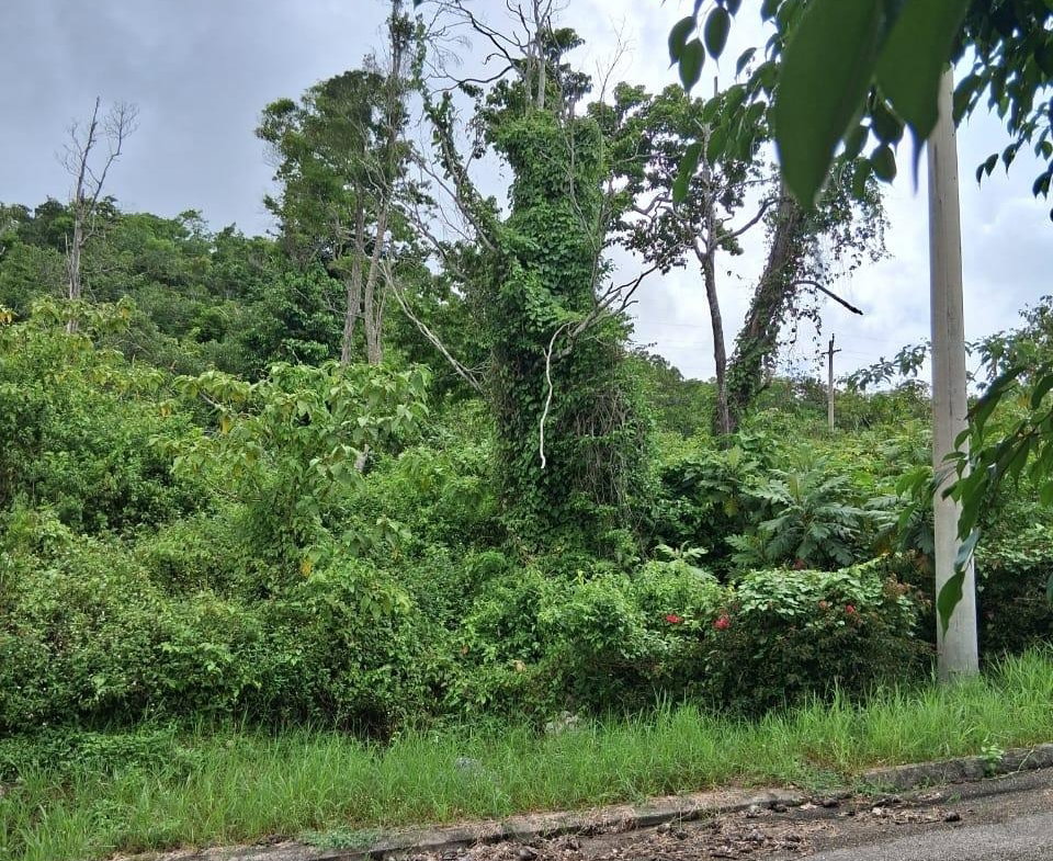 Seventh image of Lot 25 Moorlands Manor in Mandeville, Manchester, Jamaica - property is For Sale