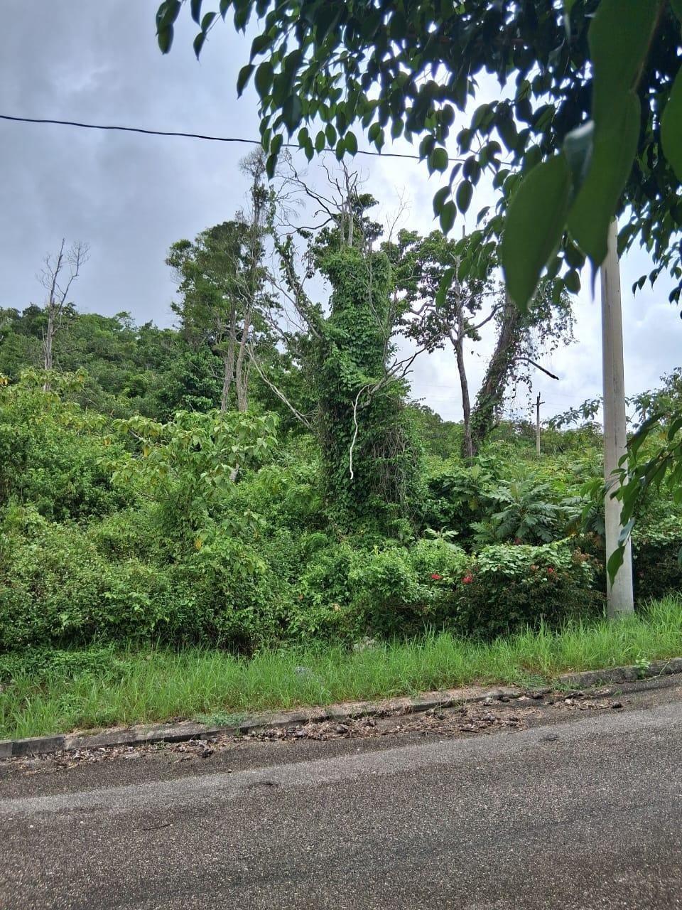 Seventh image of Lot 25 Moorlands Manor in Mandeville, Manchester, Jamaica - property is For Sale