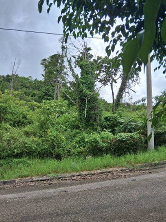 Seventh image of Lot 25 Moorlands Manor in Mandeville, Manchester, Jamaica - property is For Sale