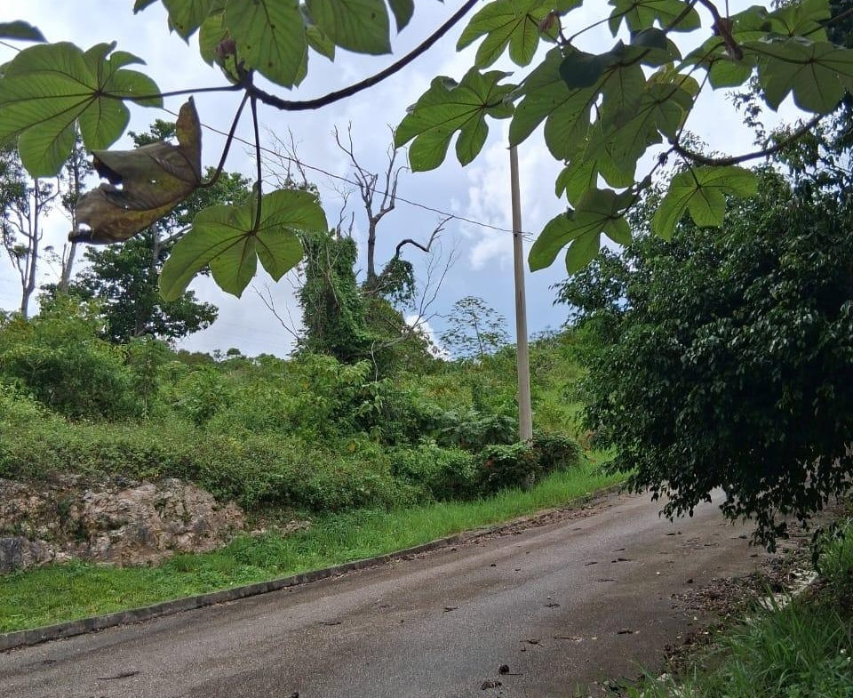Eighth image of Lot 25 Moorlands Manor in Mandeville, Manchester, Jamaica - property is For Sale