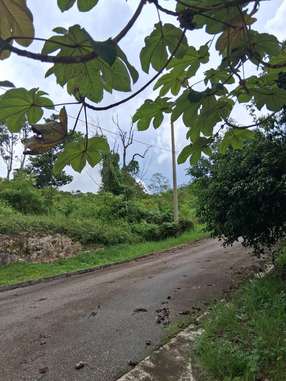 Eighth image of Lot 25 Moorlands Manor in Mandeville, Manchester, Jamaica - property is For Sale
